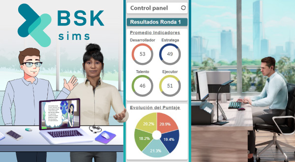 BSKSims - Business Simulations, training and assessment